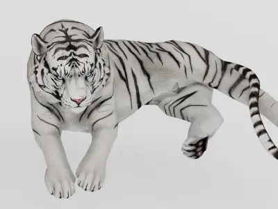 AnimalS Collection 3D model