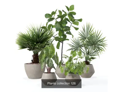 20 Photorealistic Flowers for Interiors - set 122 126 129 132 3D Model Collection