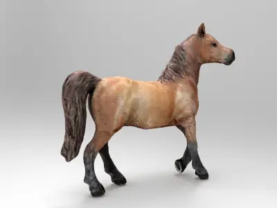 HORSE Low-poly 3D model 5