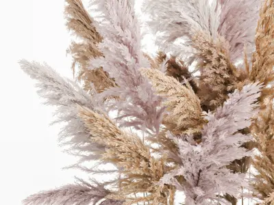 Decorative Bouquet of dried pampas grass 190 3D model