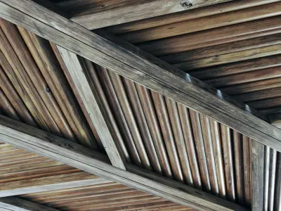Ceiling diagonal branch straight n2 3D model