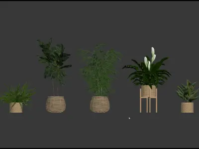 20 Photorealistic Flowers for Interiors - set 204 207 209 214 3D Model Collection
