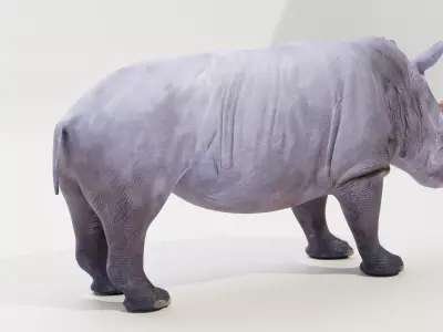 White rhino Low-poly 3D model