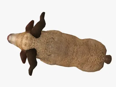 fluffy ram sheep rig  high-poly textured 3D model