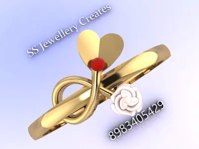 Plan-Rings-Description Check 3D print model