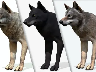 WOLF realistic Low-poly 3D model