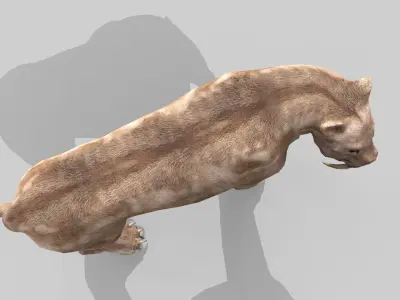 Sabertooth Low-poly 3D model