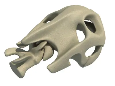 Tortoise  Skull Head 3D model