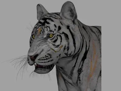 Tiger 3D model