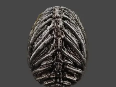 Realistic high quality Alien Egg PBR 3D model