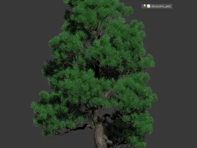 Decorative pine v2 3D model