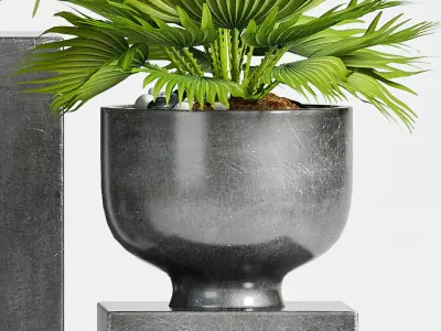 Decorative plant set-48 3D model