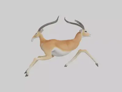 Gazelle running model 3D model