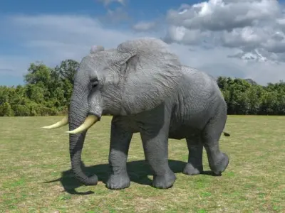 African Elephant Low-poly 3D model