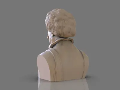 Wookalar Bust 3D print model
