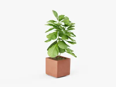 Plant 2 in concrete pot 3D model
