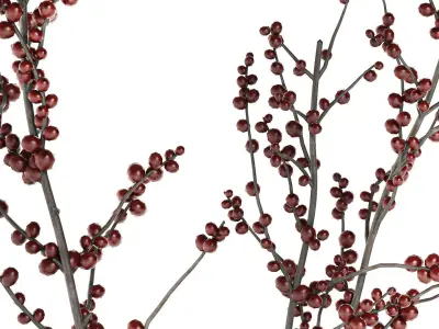 Minimalistic bouquet of branches with red ilex berries 350 3D model