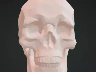 Skull 3D Model Realistic Decorative Sculpture Free 3D print model