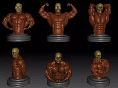 Bodybuilding poses 3D print model