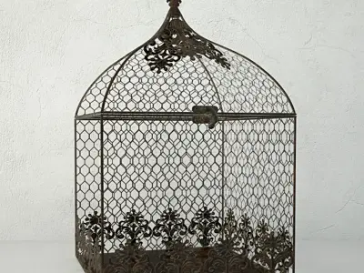 Square Birdcages 3D model