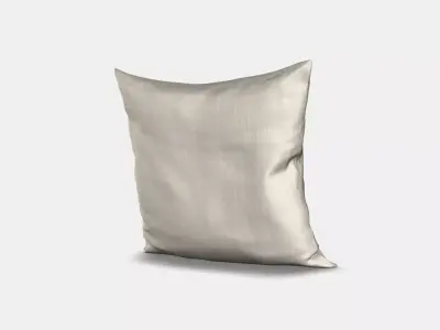 AINA Cushion cover 2 3D model