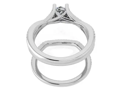 Round Diamond Twisted Ring With Band 3580 3D print model