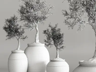 plant collection olive 3D model