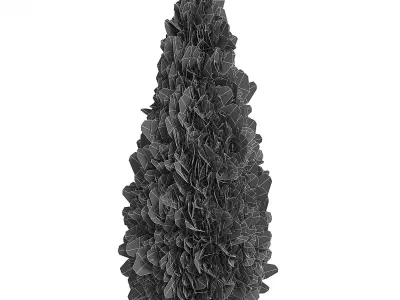 Thuja Shrub V 3D model