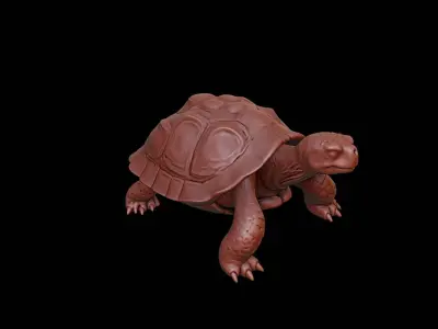 Turtle Animal Sculpture 3D print model purchase