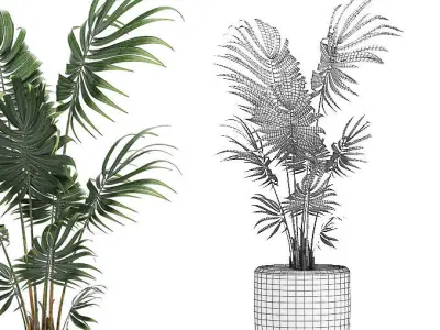 Decorative palm in a white flowerpot 519 3D model