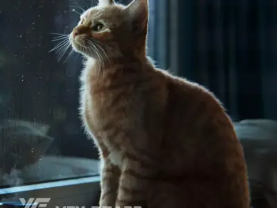 Orange Cat Animated VFX Grace 3D model