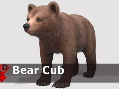 BEAR - CUB Low-poly 3D model