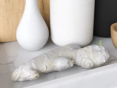 Decor Set Kitchen Menu Grinder 3D model