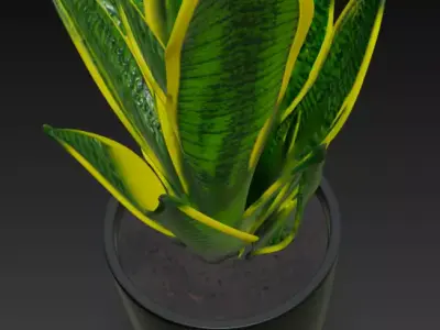 Realistic 3D Pot Plant 3D model