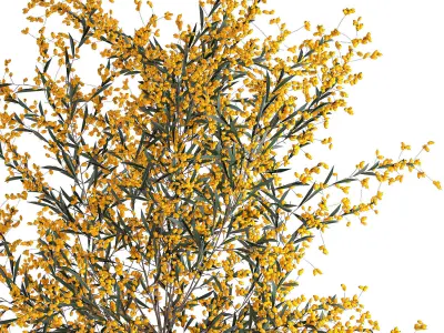Bouquet of branches with yellow berries in a vase 96 3D model