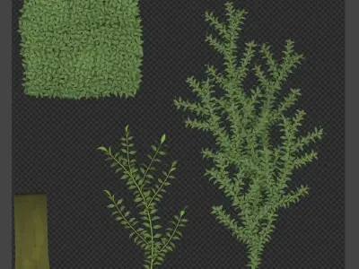 Low-Poly Boxwood Hedge Version 2 Low-poly 3D model