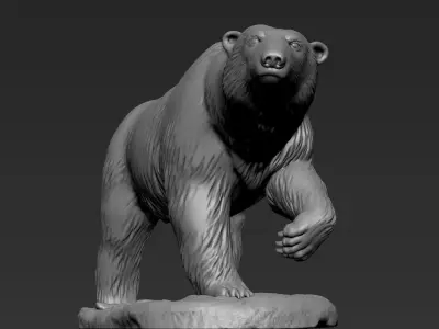 Polar Bear Zbrush Sculpt 3D model