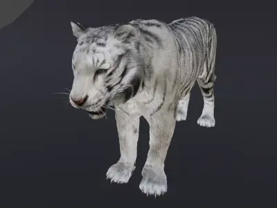 White Tiger with Fur Male 3D 3D model