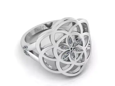  Eternal Bloom Ring  3D print model