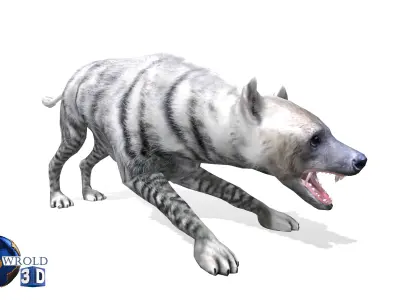 White Hyena Rigged Animated Lowpoly 3D Model Low-poly 3D model