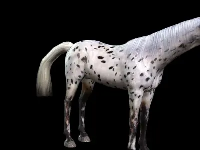 Thoroughbred Arabian Horse WILD WORLD PONY 6 Low-poly 3D model