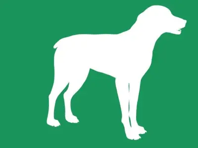 German Shorthaired Pointers Dog 3D model