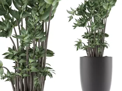 House Plant 18 3D model