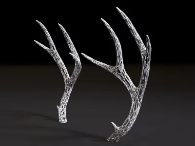 Deer horns 3D print model