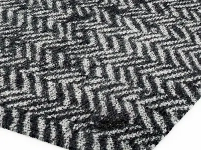 Baxter SCARLET TWILL CARPET 3D model