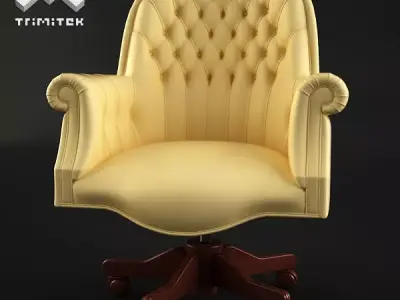 Luxury Executive Chair with tufted back 3D model