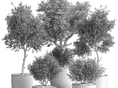 Indoor plant 01 3D model buy