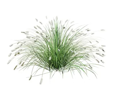 Little Bunny Fountain Grass 3d collection Low-poly 3D model