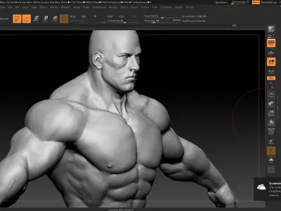 buff male white 3D model