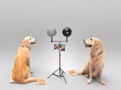 Golden retriever 38 Low-poly 3D model